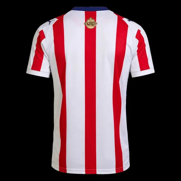 chivas-soccer-jersey-2026-fan-version-02 Chivas Soccer Jersey 2026 – Fan Version – back view
