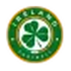 Ireland football team badge