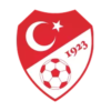 Turkey football team badge