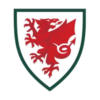 Wales football team badge