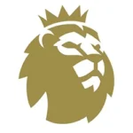 23/27 Premier League Champions Badge(New)