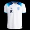 alexander-arnold-18-england-home-soccer-jersey-2022-player-version-194836-02 ALEXANDER-ARNOLD #18 England Home Soccer Jersey 2022 β Player Version β back view