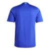 Argentina Away Soccer Jersey – Player Version – back view