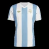 argentina-soccer-jersey-50th-anniversary-fan-version-01 Argentina Soccer Jersey – 50th Anniversary – Fan Version – front view