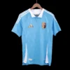 Belgium Away Soccer Jersey Euro – Player Version – jersey details
