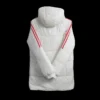 benfica-training-cotton-jacket-2023-413147-02 Benfica Training Cotton Jacket 2023 – back view
