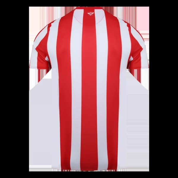 Brentford Home Soccer Jersey 2021/22 – Fan Version – back view