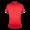 Cameroon Third Away Soccer Jersey 2022 – World Cup 2022 – Fan Version – back view