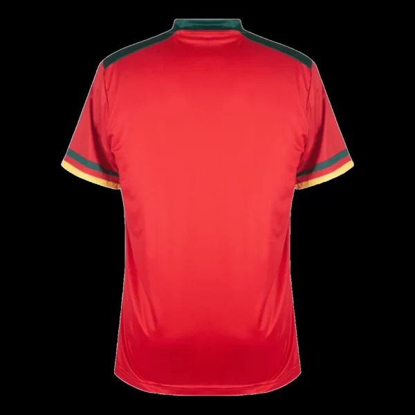 Cameroon Third Away Soccer Jersey 2022 – World Cup 2022 – Fan Version – back view
