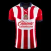 CHICHARITO #14 Chivas Home Soccer Jersey 2023/24 – Fan Version – back view
