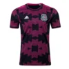 CHICHARITO #14 Mexico Home Soccer Jersey 2021 – Fan Version – jersey details