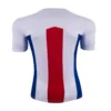 Crystal Palace Away 2020/21 – Fan Version – back view