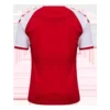 Denmark Home 2021 – Fan Version – back view