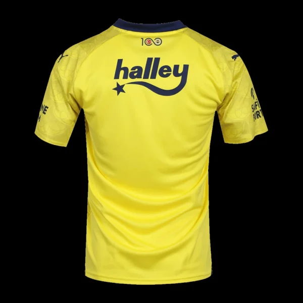 Fenerbahce Away Soccer Jersey 2023/24 – Fan Version – back view