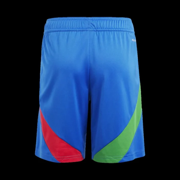 Italy Away Soccer Shorts Euro – Fan Version – back view