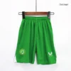 Kid’s Ireland Away Soccer Kit – Jersey + Shorts 2023 – Fan Version – badge and fabric details