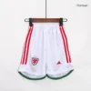 kid-s-wales-home-soccer-kit-jersey-shorts-2023-24-fan-version-398842-04 Kid’s Wales Home Soccer Kit β Jersey + Shorts 2023/24 β Fan Version β badge and fabric details