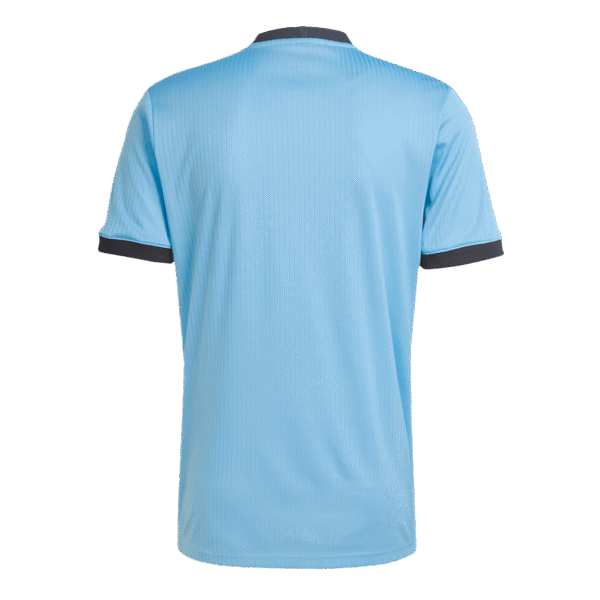 Germany Goalkeeper Soccer Jersey 2025 -125th Anniversary – Fan Version – back view