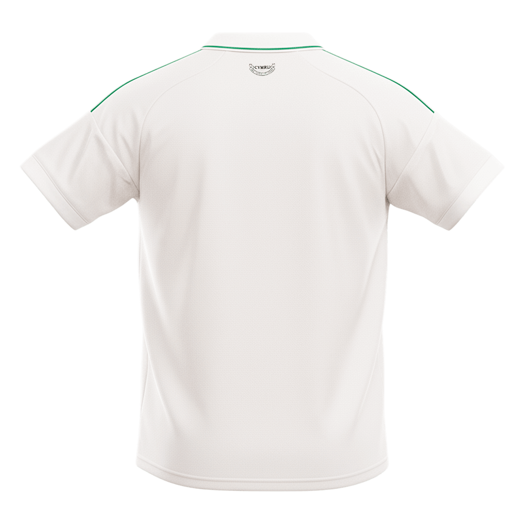 Wales Away Soccer Jersey 2026 – Fan Version – back view