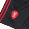 Liverpool Away Soccer Shorts 2025/26 – Fan Version – jersey details