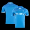 Napoli Home Soccer Jersey – Player Version – jersey details