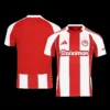 Olympiakos Home Soccer Jersey 2025/26 – Fan Version – jersey details