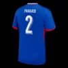PAVARD #2 France Home Soccer Jersey – Fan Version – jersey details