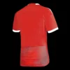 Peru Away Soccer Jersey 2023 – Fan Version – back view