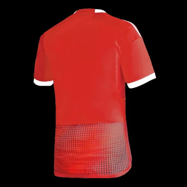 Peru Away Soccer Jersey 2023 – Fan Version – back view