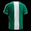 Retro 1996 Nigeria Home Soccer Jersey – back view