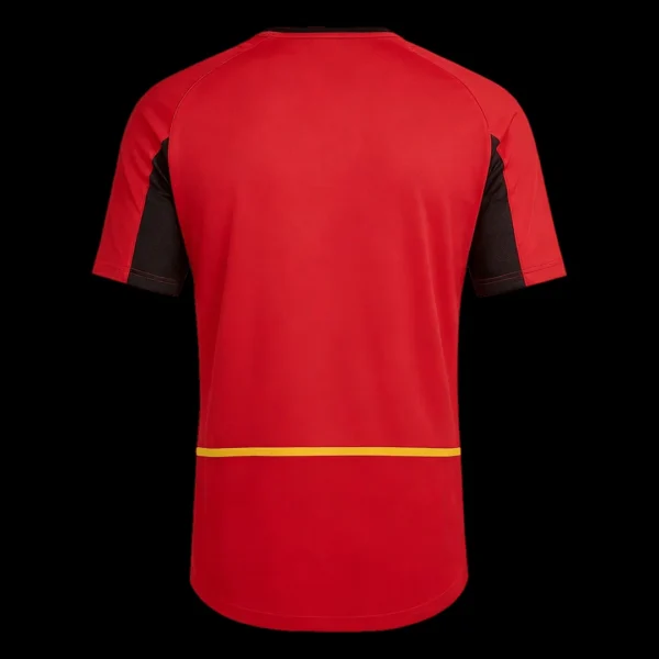 Retro 2002 Belgium Home Soccer Jersey – back view