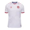 schmeichel-1-denmark-away-soccer-jersey-2021-fan-version-131302-02 SCHMEICHEL #1 Denmark Away Soccer Jersey 2021 β Fan Version β back view