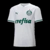 se-palmeiras-away-2020-fan-version-68584-01 SE Palmeiras Away 2020 β Fan Version β front view