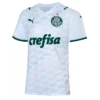 SE Palmeiras Away 2021/22 – Fan Version – front view