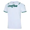 SE Palmeiras Away 2021/22 – Fan Version – back view
