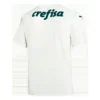 SE Palmeiras Away Soccer Jersey 2022/23 – Fan Version – back view