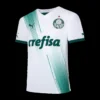 se-palmeiras-away-soccer-jersey-2023-24-fan-version-323581-01 SE Palmeiras Away Soccer Jersey 2023/24 β Fan Version β front view