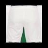 SE Palmeiras Away Soccer Kit – Jersey + Shorts 2022/23 – Fan Version – front view