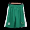 SE Palmeiras Away Soccer Shorts – Fan Version – front view