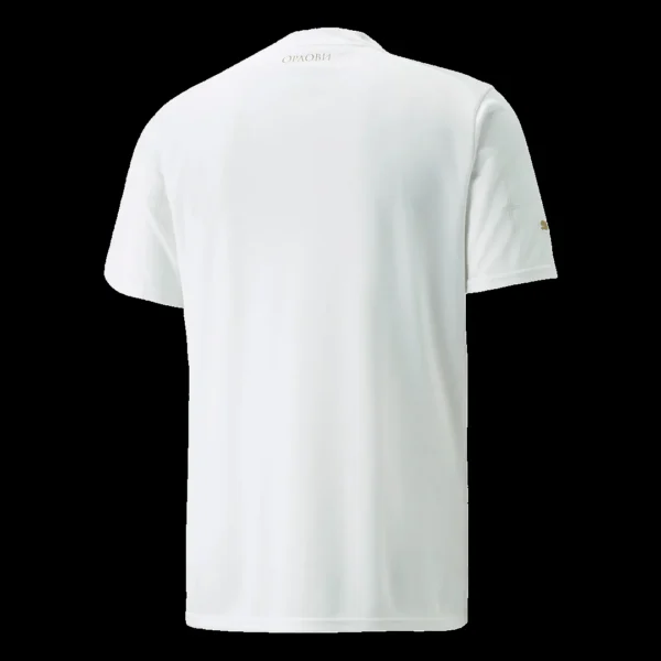 serbia-away-soccer-jersey-2022-fan-version-191756-02 Serbia Away Soccer Jersey 2022 β Fan Version β back view