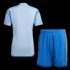 Spain Away Soccer Jersey Kit(Jersey+Shorts+Socks) 2022 – Fan Version – badge and fabric details