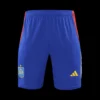 spain-pre-match-soccer-shorts-euro-fan-version-487414-02 Spain Pre-Match Soccer Shorts Euro β Fan Version β back view