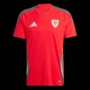 Wales Home Soccer Jersey – Fan Version – front view
