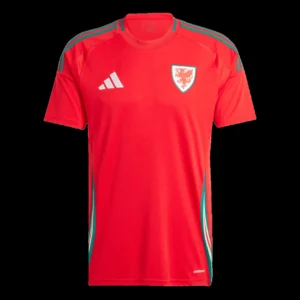 wales-home-soccer-jersey-fan-version-01 Wales Home Soccer Jersey β Fan Version β front view