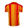 West Bromwich Albion Third Away 2020/21 – Fan Version – back view